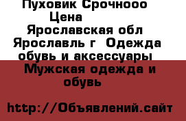 Пуховик.Срочнооо › Цена ­ 2 500 - Ярославская обл., Ярославль г. Одежда, обувь и аксессуары » Мужская одежда и обувь   